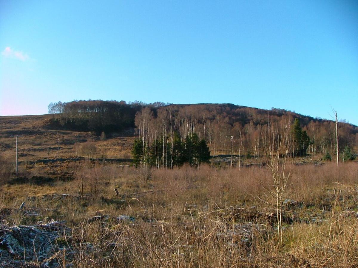 The Struan Inn Self Catering Lodge Екстер'єр фото